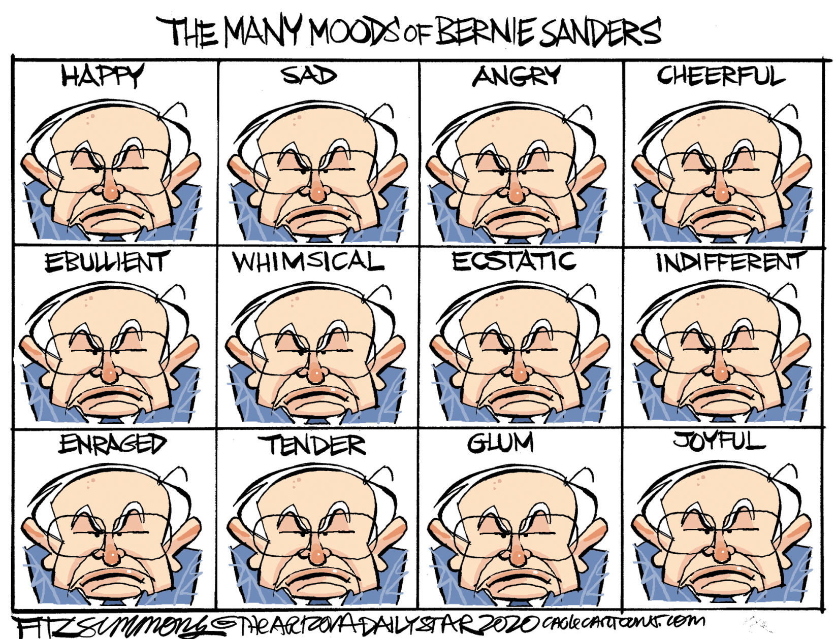 Daily Fitz Cartoon: Bernie